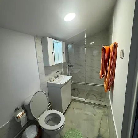 Apartment Alexandrescu *