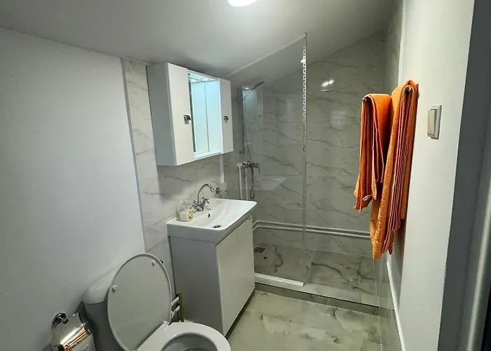 Apartman Alexandrescu *